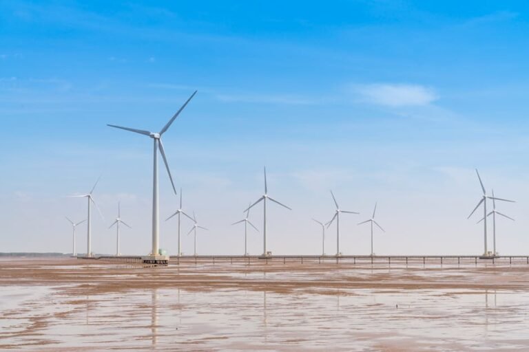 Project Finance Modeling